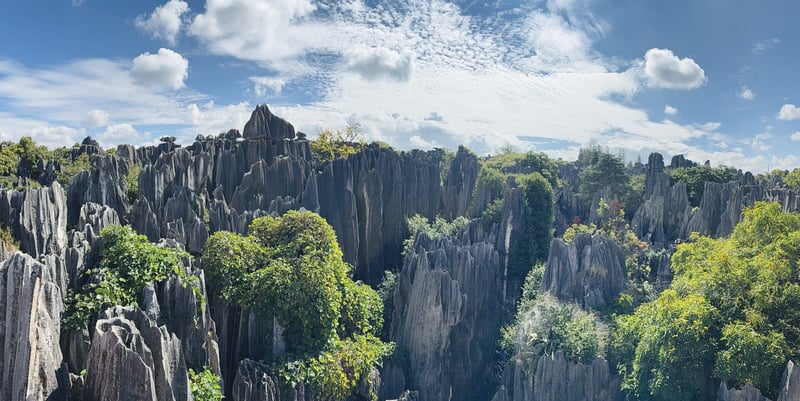 Limestone pillars of the Stone Forest