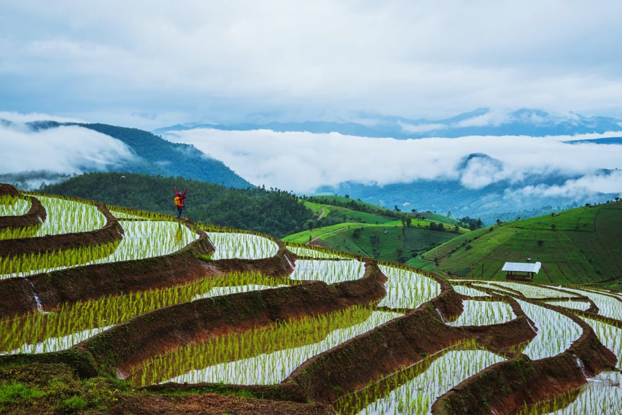Hani rice terraces at Yuanyang