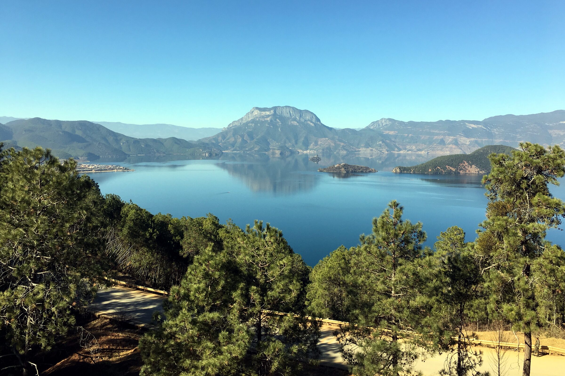 Lugu Lake seen through pine trees